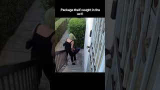 Package thief caught in the act [upl. by Akilam]