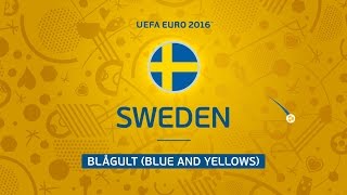 Sweden at UEFA EURO 2016 in 30 seconds [upl. by Anieral722]