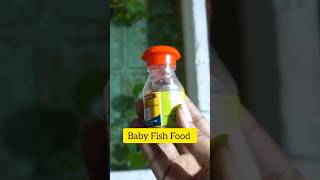 Feeding Baby Fish Food 🐠 shorts fishing fishfood fishfry mollyfry fishing hatching [upl. by Idleman]