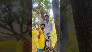 Bartan dhone wali 🤣👍😇🥹🙃 love khesarilalyadavcomedysong comedyfilms trending song [upl. by Eilitan182]