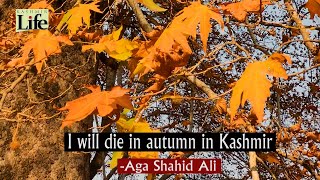 Kashmir The Autumn Season [upl. by Ilsa15]