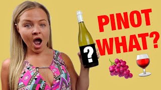 Pinot Grigio vs Pinot Gris  Best Sweet Wines for Beginners [upl. by Zsa93]