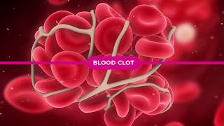 Coagulation Cascade Explained [upl. by Bahe]