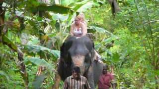 Tour in Sri Lanka  Elephant Riding at Pinnawala [upl. by Publias]