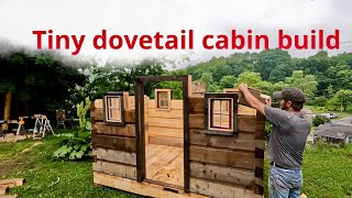 Tiny portable￼ dovetail cabin build “Lincoln logs for big boys” [upl. by Midian]