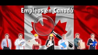 ¡No te pierdas 10 ofertas de empleo en Canadá [upl. by Popele]