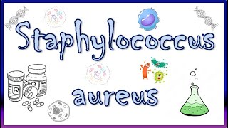 Staphylococcus aureus  Diseases Clinical Presentation Virulence Factors Diagnosis amp Treatment [upl. by Okikuy463]