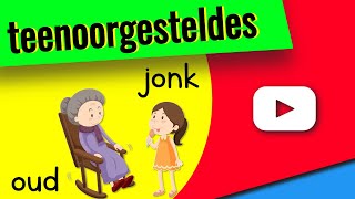 Teenoorgesteldes in Afrikaans 👉 Opposites in Afrikaans [upl. by Anaeel490]