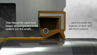 Shaft Seals amp Rotary Seals — Trelleborg Sealing Solutions [upl. by Cornelia40]