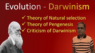 DARWINISM [upl. by Moureaux]