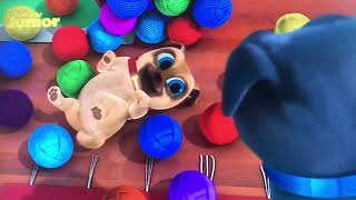 Puppy Vriendjes Liedje  In de knoop  Puppy Dog Pals DutchNederlands [upl. by Netram506]