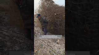 Process of Manually Dragging Tumbleweeds [upl. by Apostles]