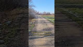 THE PATH TO NOWHERE AT LJUBLJANA WETLANDS SLOVENIA 🇸🇮 SHORTS [upl. by Yerffoej]