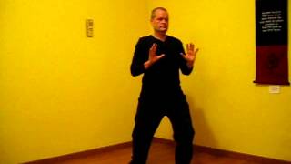 Los 18 Movimientos del TaijiQigong quotShibashiquot [upl. by Ahsenrat595]