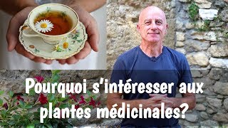 Pourquoi sintéresser aux plantes médicinales [upl. by Etnoel916]