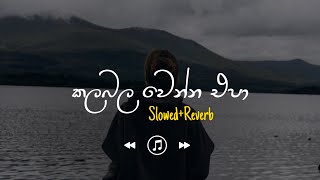 Kalabala Wenna Epa  කලබල වෙන්න එපා SlowedReverb [upl. by Leilamag882]