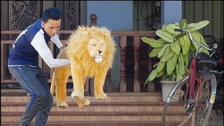 Fake lion Prank Sleeping Dog  Funny Dog Video prank prankvideo funny trending viralvideo [upl. by Quick]