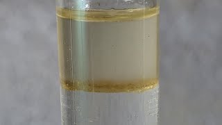 Freebase Reaction of Phenylethylamine HCl PEA [upl. by Yrod60]