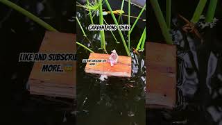 Garden pond ideas Some small fish for small spaces with some miniatures for a spectacular garden [upl. by Nyved]