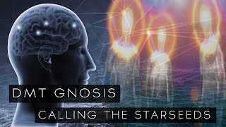 DMT Gnosis Calling The Starseeds  Beyond The Veil [upl. by Notlih160]