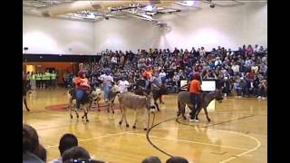 Donkey Basketball Palmyra High School Game 5 02212011 Palmyra Network News [upl. by Enahsal]