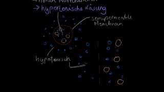 Diffusion und Osmose  Biologie [upl. by Arodaeht]