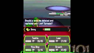 How To Obtain Everstones in Pokemon Black [upl. by Averil164]