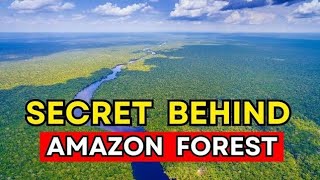 what are the Secrets of Amazon Rainforest  documentary filmshorts [upl. by Nylyram]