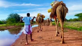 PASTORALISM IN NORTHERN KENYA GARISSA COUNTYLIFETIME EXPERIENCE PART 1 [upl. by Ennywg]