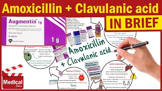 Amoxicillin and Clavulanic Acid  Augmentin  Augmentin Uses Dosage Side Effects amp Precautions [upl. by Buell]