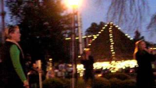 Waxhaw NC Christmas Tree Lighting Countdown and Lights On November 27 2009 [upl. by Shara]