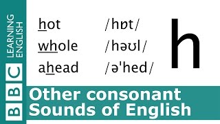 English Pronunciation 👄 Voiceless Consonant  h  hot whole and ahead [upl. by Gurtner]