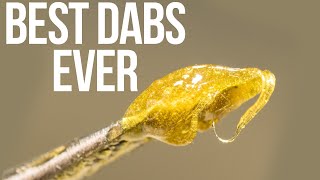 HOW TO MAKE THE BEST TASTING DABS EVER [upl. by Ehcnalb]