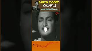 Oho Bangaru Chiluka Song  ఒహో బంగరు చిలుకా Savitri NTR BhaleAmmayilu Shorts Youtubeshorts [upl. by Penman]