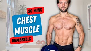 20 MIN DUMBBELL CHEST WORKOUT to BUILD MUSCLE [upl. by Nata717]