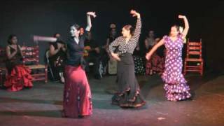 Flamenco Dance Tarde Andaluza [upl. by Onailimixam]