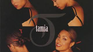 Tamia  You Put A Move On My Heart [upl. by Aynik]