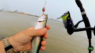 4 días pescando solo Pesca y cocina en primera persona pesca urbana [upl. by Hazeghi]