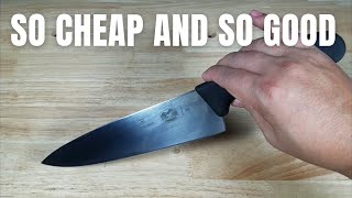 BEST BUDGET CHEF KNIFE VICTORINOX FIBROX 8quot KNIFE REVIEW [upl. by Ymarej600]