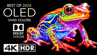 BEST OF OLED Test 4K HDR 60 FPS Dolby Vision 4K Video [upl. by Ahseiyn930]