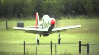 Campbell Aviation Titan T51 Mustang video [upl. by Zaremski349]