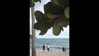 Praia Martim de Sá Paraíso de Caraguatatuba [upl. by Ihana192]