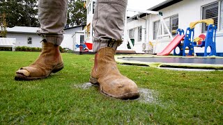 Lots of rain lately  Water amp drainage issues  How to treat amp prevent fungal disease in your lawn [upl. by Fabyola]