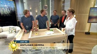 Trillingarna från Äntligen hemma bygger hundkoja till Lilla Nymo  Nyhetsmorgon TV4 [upl. by Knowles810]