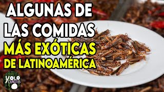 Sabores Únicos Las Comidas Más Exóticas que Ofrece Hispanoamérica [upl. by Eleynad]