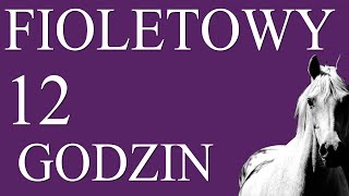 FIOLETOWY 12 GODZIN [upl. by Bornstein914]