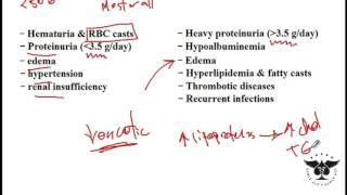 Nephritic and Nephrotic glomerular disorders glomerulonephritis  USMLE STEP 1 [upl. by Mohr]