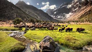 Pamir Documentary Campaign Video [upl. by Eblehs]