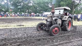 Lanz Bulldog  Traktoren im Einsatz  historischer Feldtag Nordhorn [upl. by Kemeny]