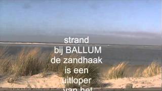 Ameland duin en zee [upl. by Eecyal]